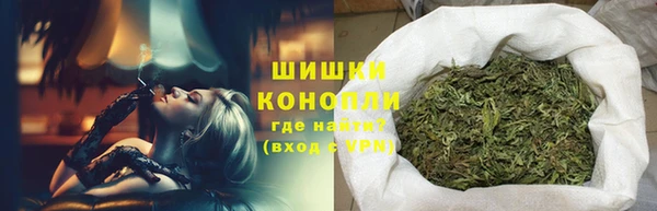 МДПВ Дмитровск